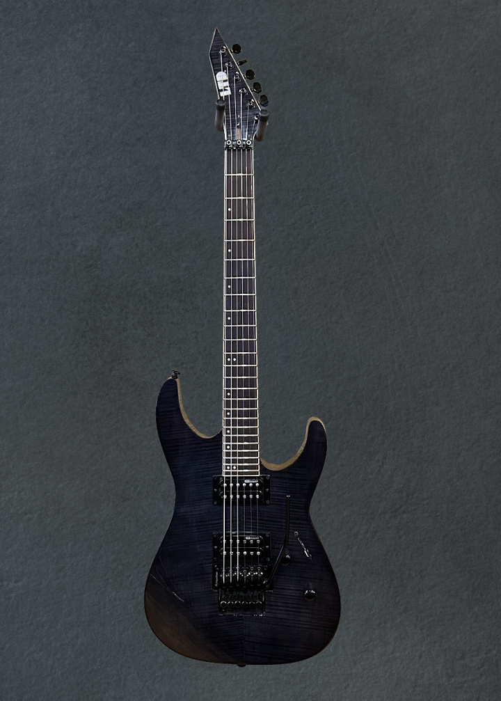 LTD M-100FM &
