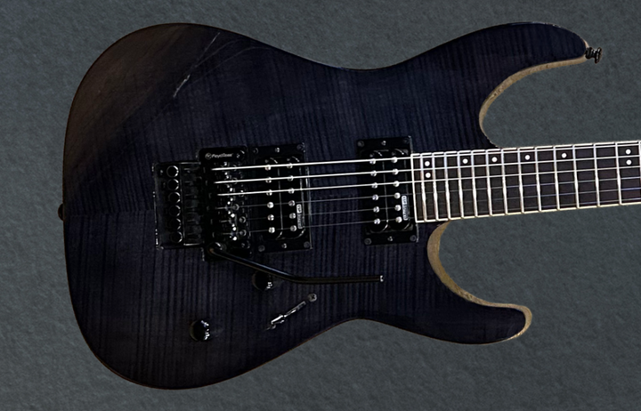 LTD M-100FM &