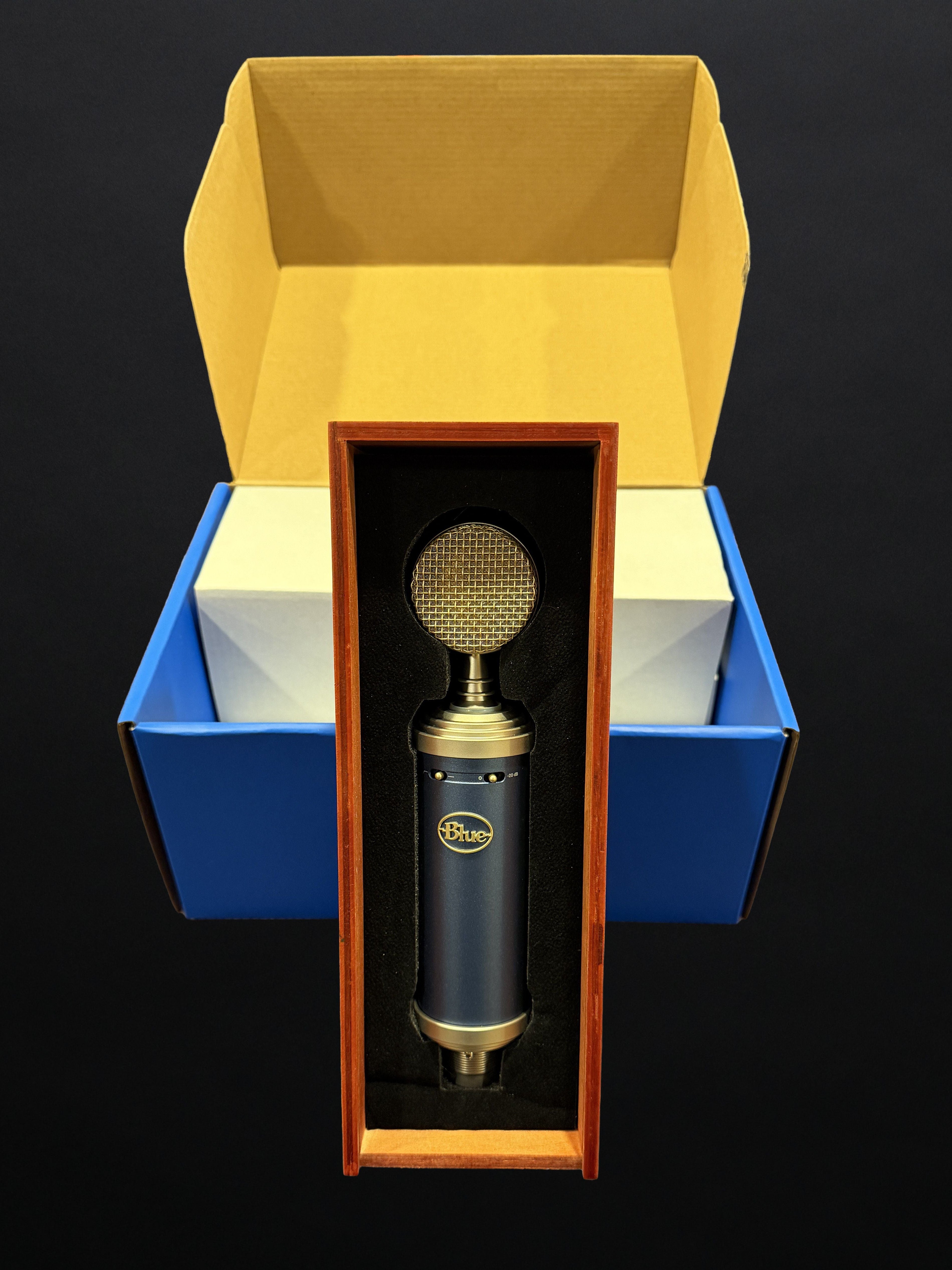 Bluebird SL, Recent – Dave's Guitar Shop Blue Microphones Bluebird sl