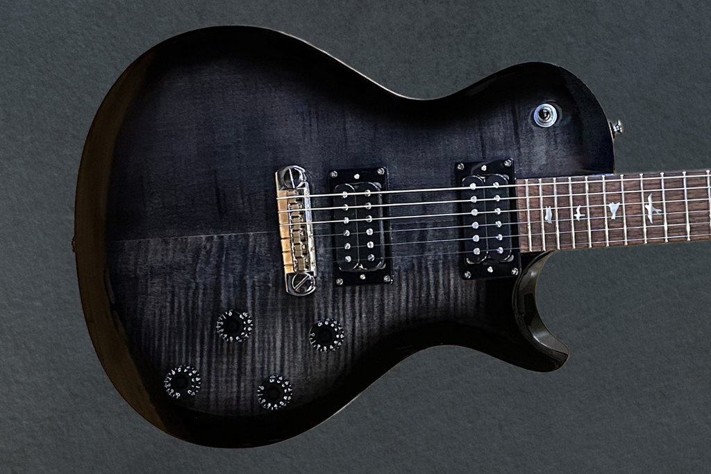 SE 245 '22 – Dave's Guitar Shop