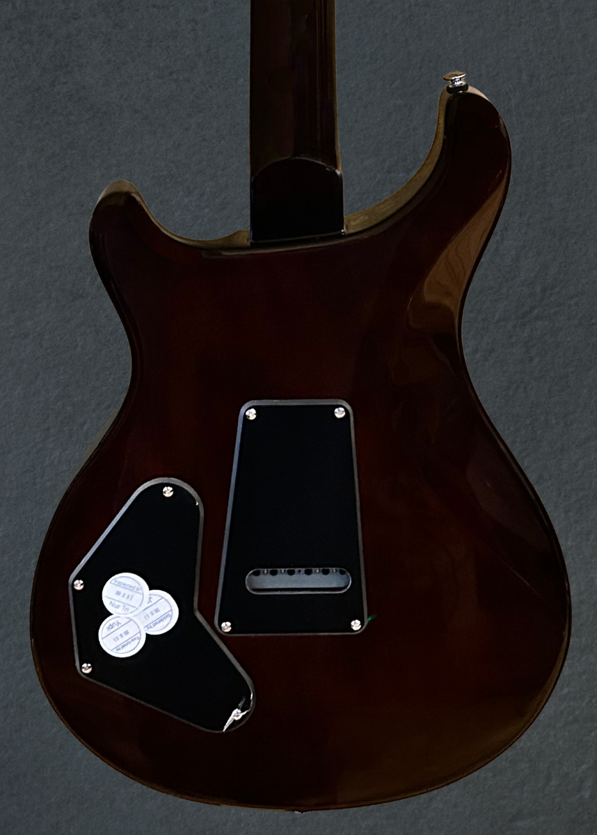SE DGT (David Grissom Trem) Standard, &