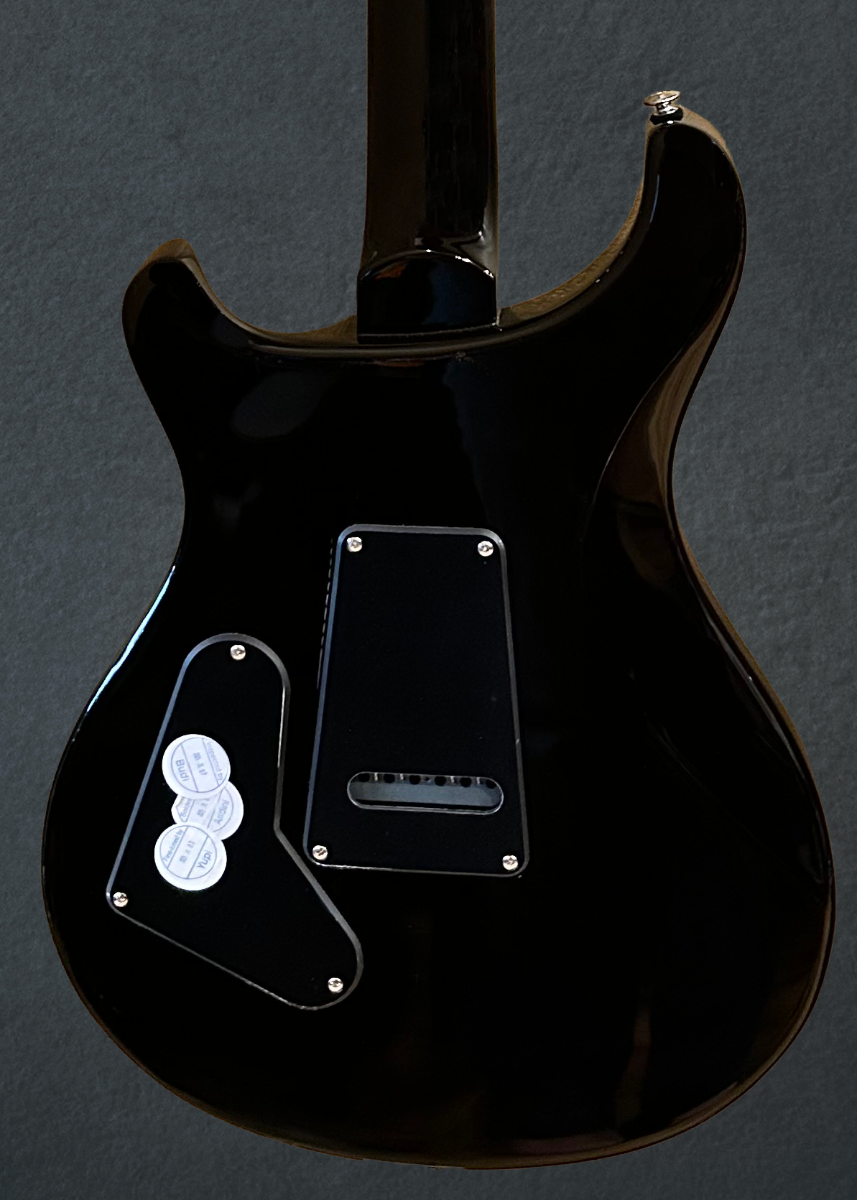 SE Custom 24, &