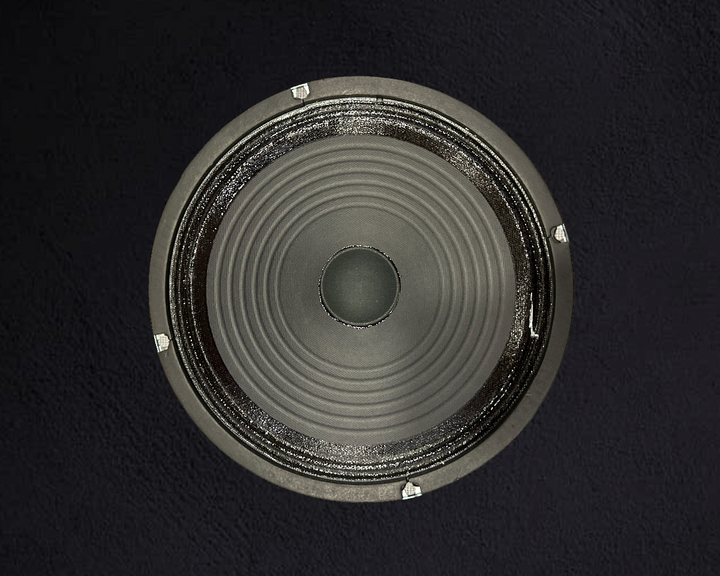 G10R-30 10" Speaker, Recent