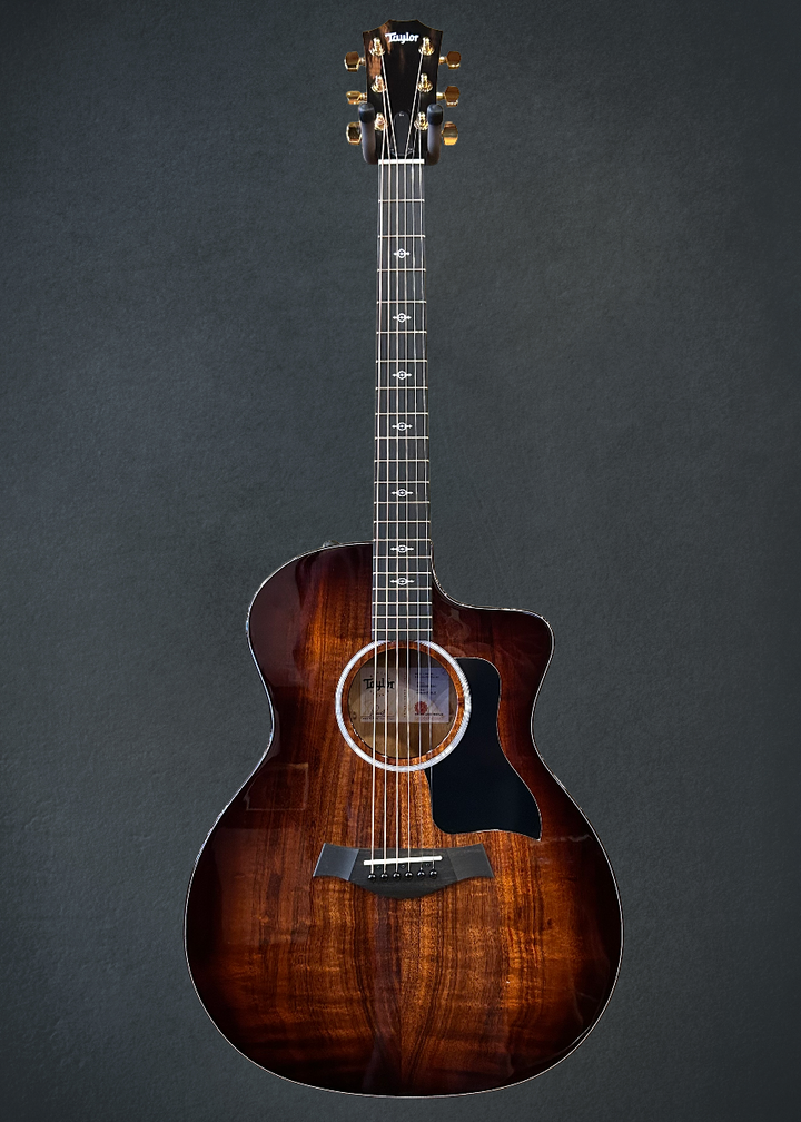 Used 224CE-K DLX &