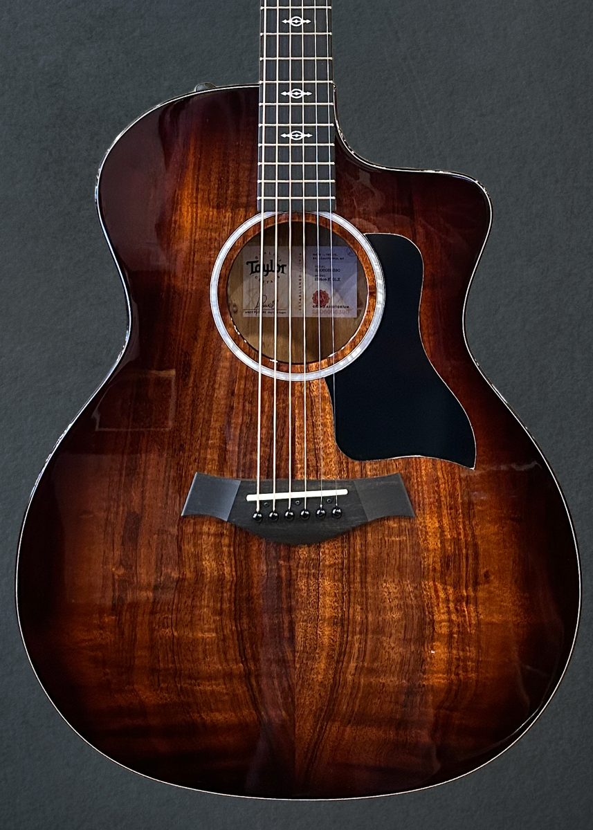 Used 224CE-K DLX &