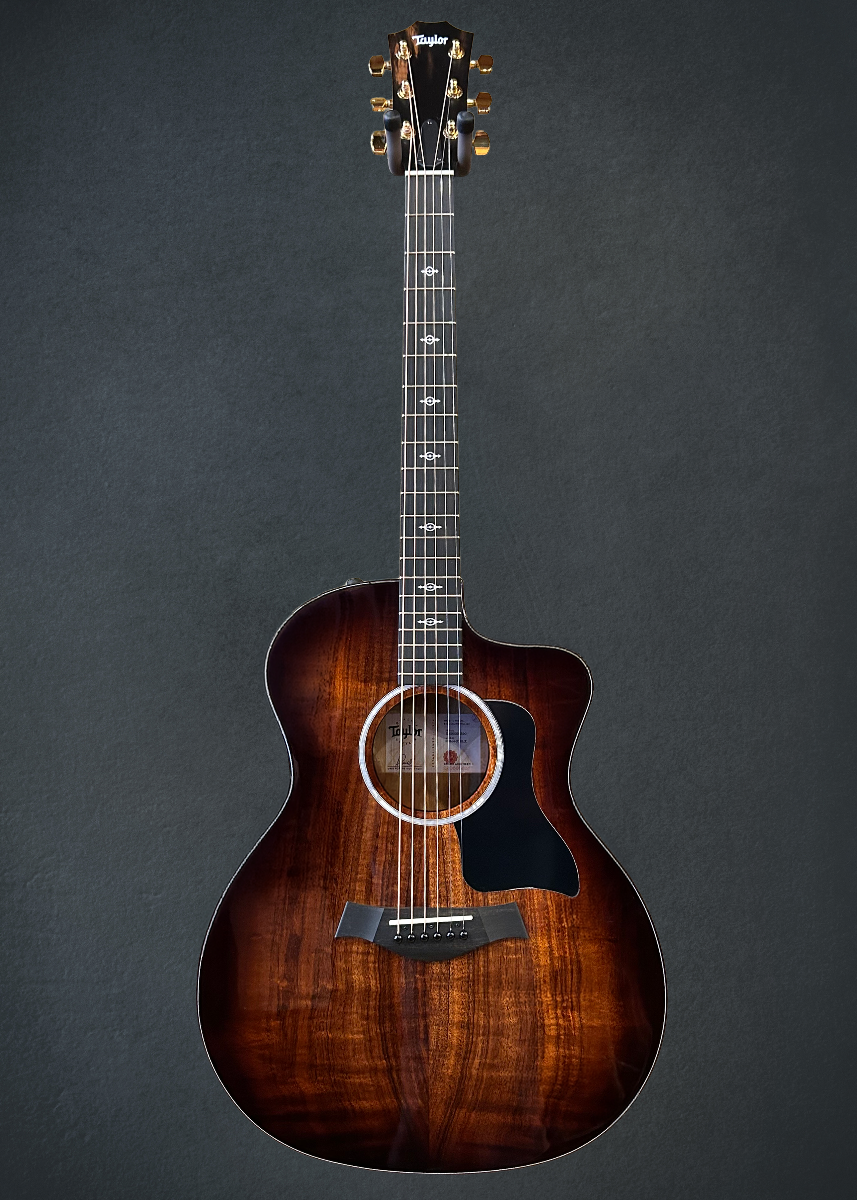 Used 224CE-K DLX &