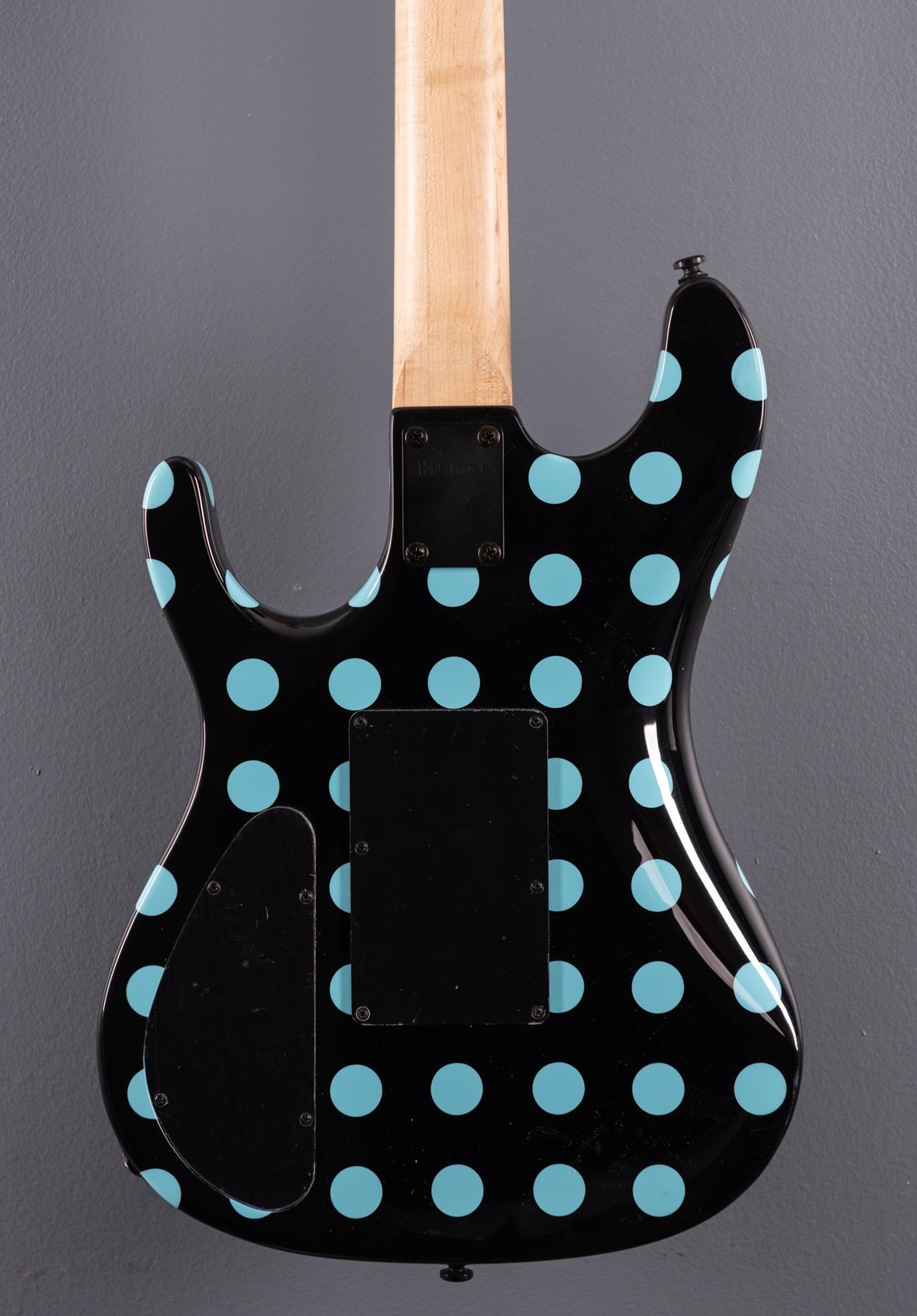 NightSwan – Dave's Guitar Shop