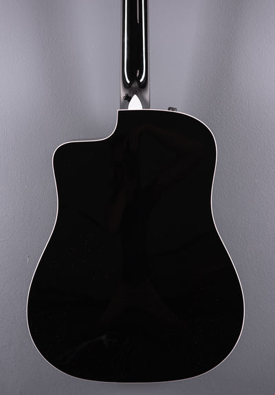250CE-BLK DLX 12 String