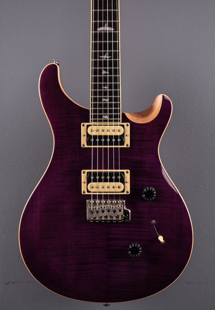 SE Custom 24 '19
