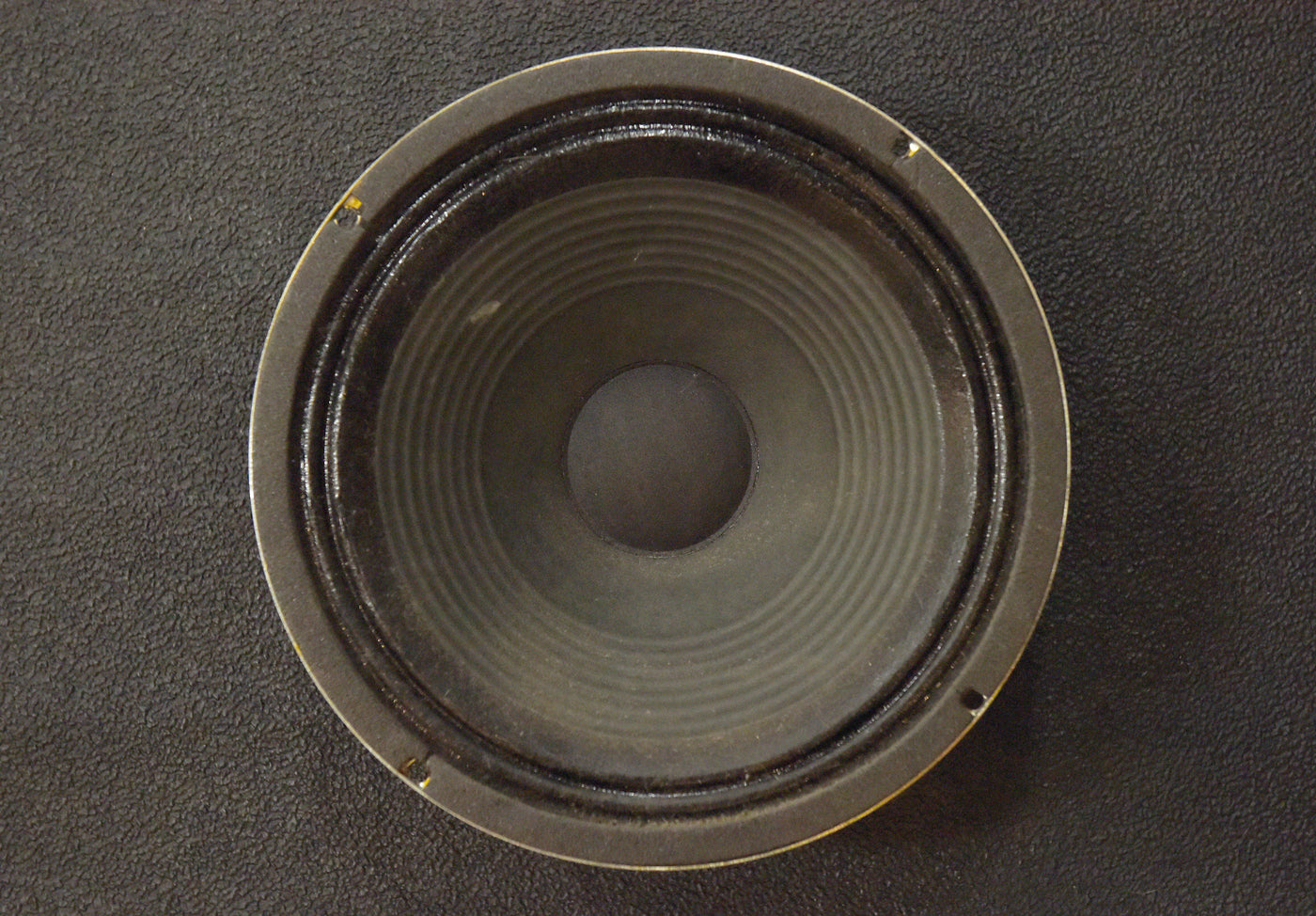 V12-80 16 OHM - 12" Speaker, Recent