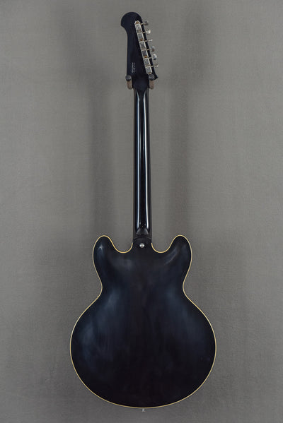 1964 Trini Lopez Standard Reissue - Ebony