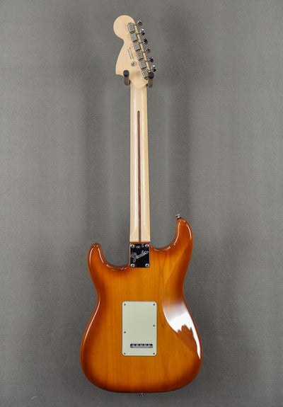 American Performer Stratocaster – Honey Burst w/Rosewood Fingerboard