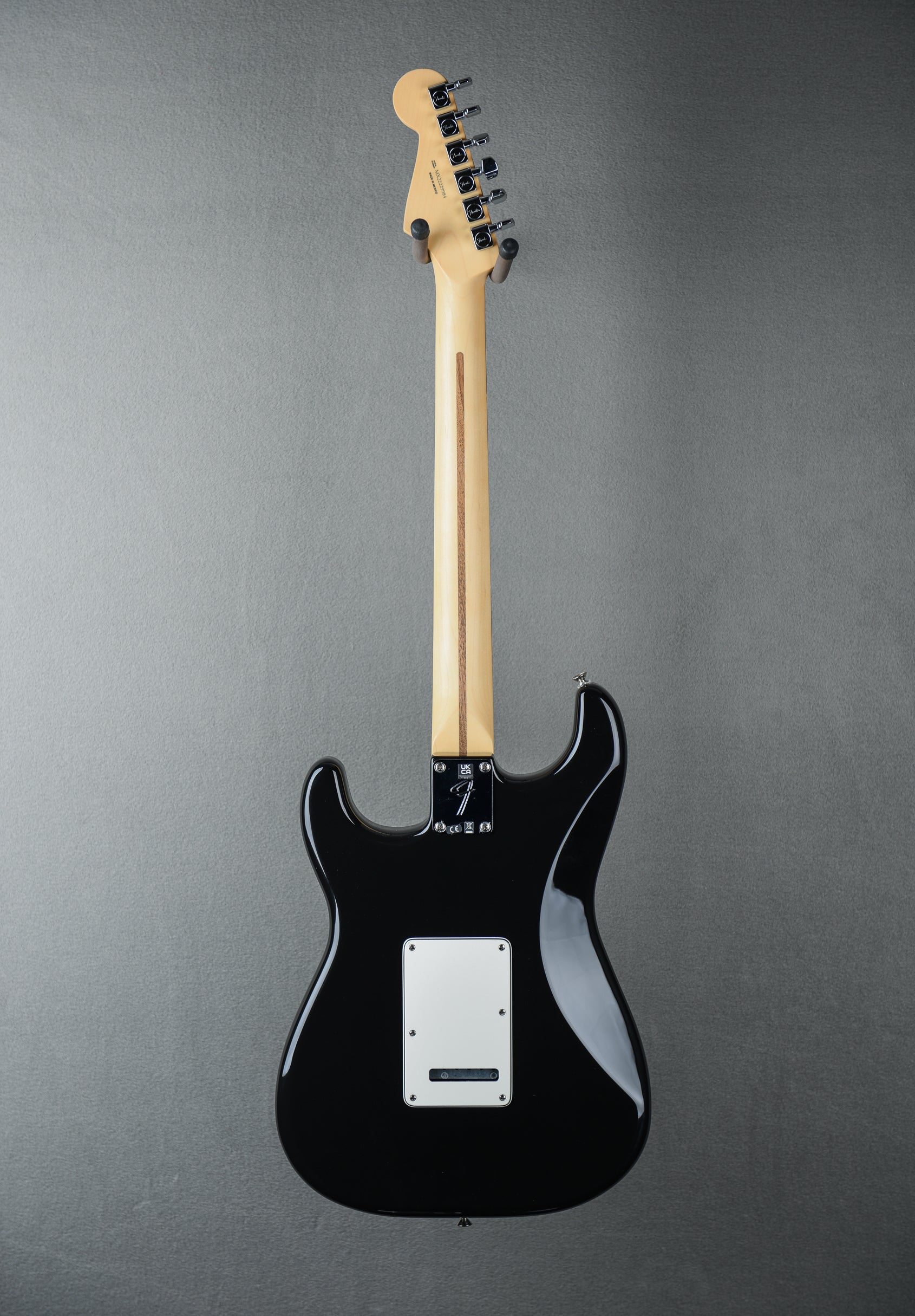 Player Stratocaster - Black W/ Pau Ferro – Dave's Guitar Shop