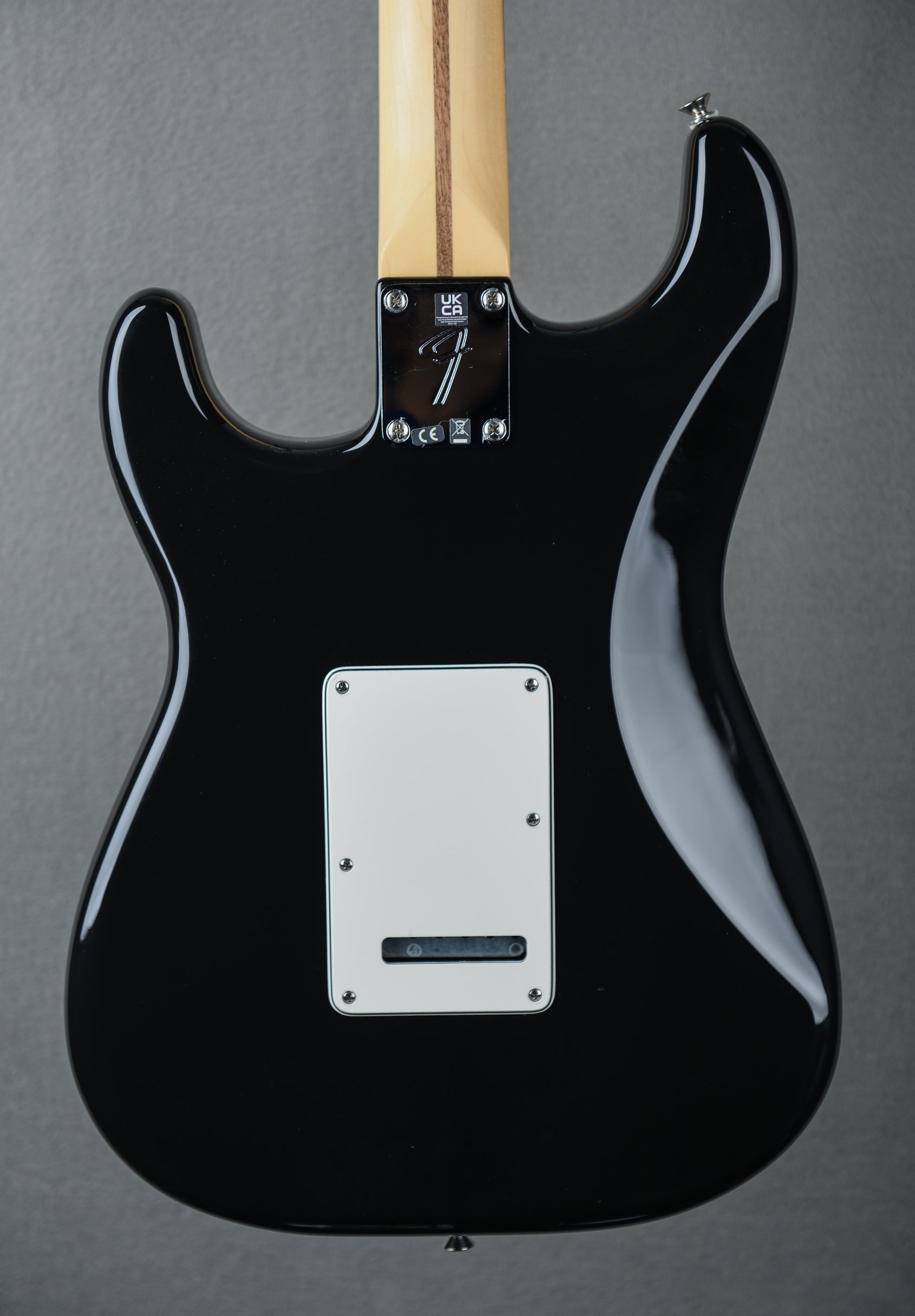 Player Stratocaster - Black W/ Pau Ferro – Dave's Guitar Shop