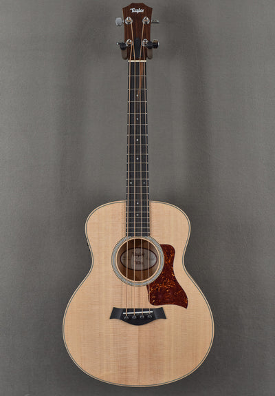 GS Mini-e Bass