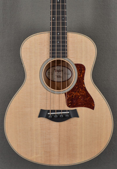 GS Mini-e Bass