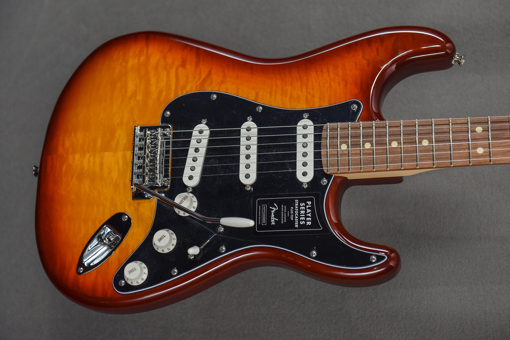 Player Stratocaster Plus Top Tobacco Sunburst w Pau Ferro