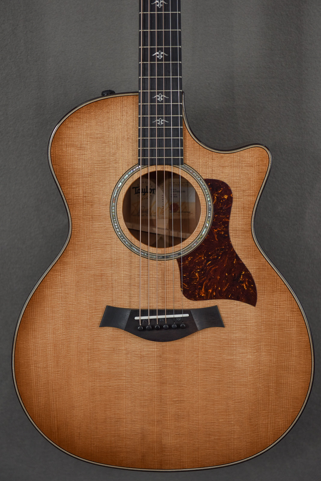514ce - Urban Ironbark