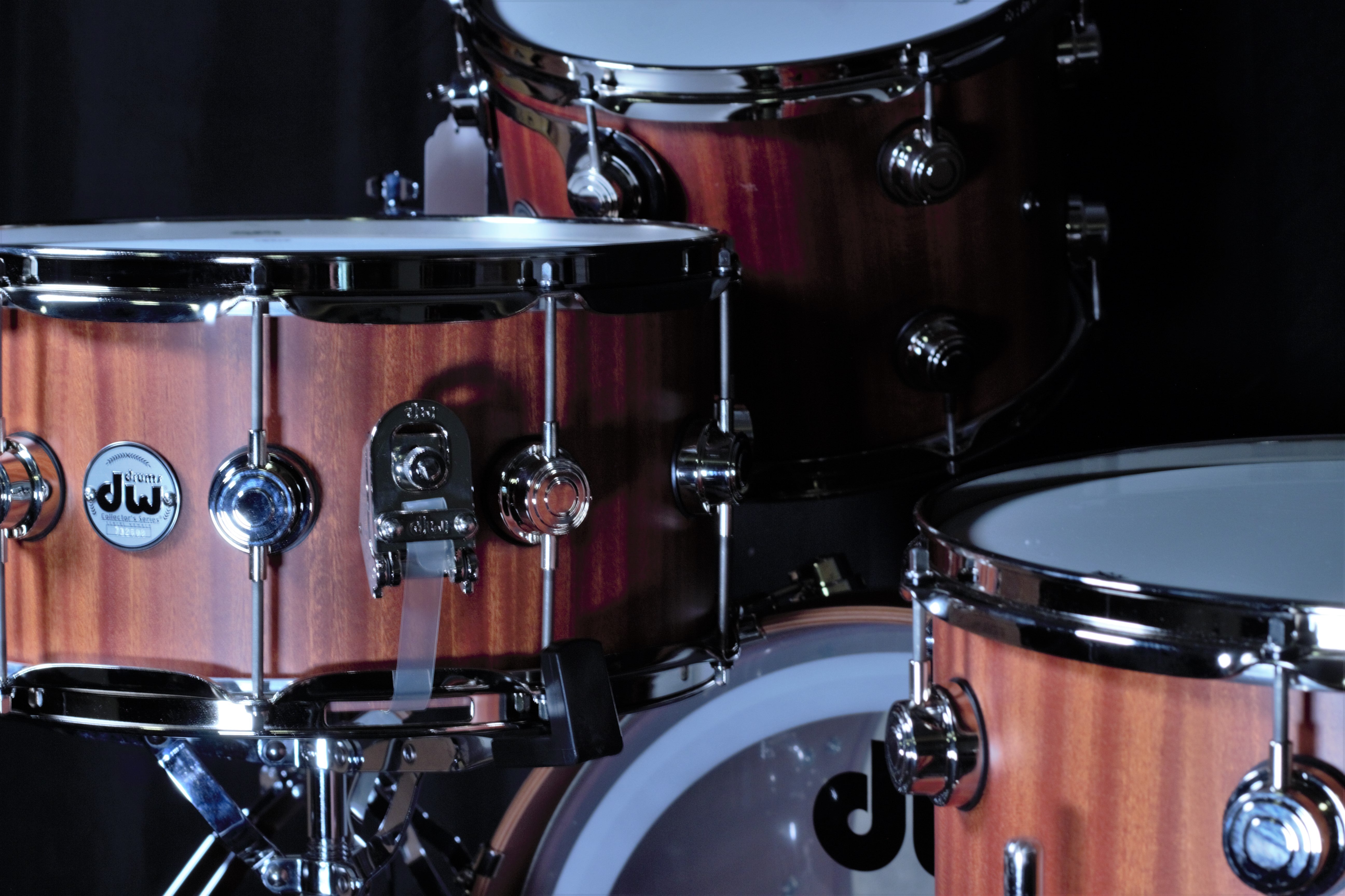 Collectors Series Purplecore 4 Piece Shell Pack – Dave's