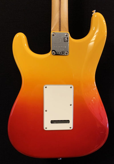PLAYER PLUS STRATOCASTER- Tequila Sunrise