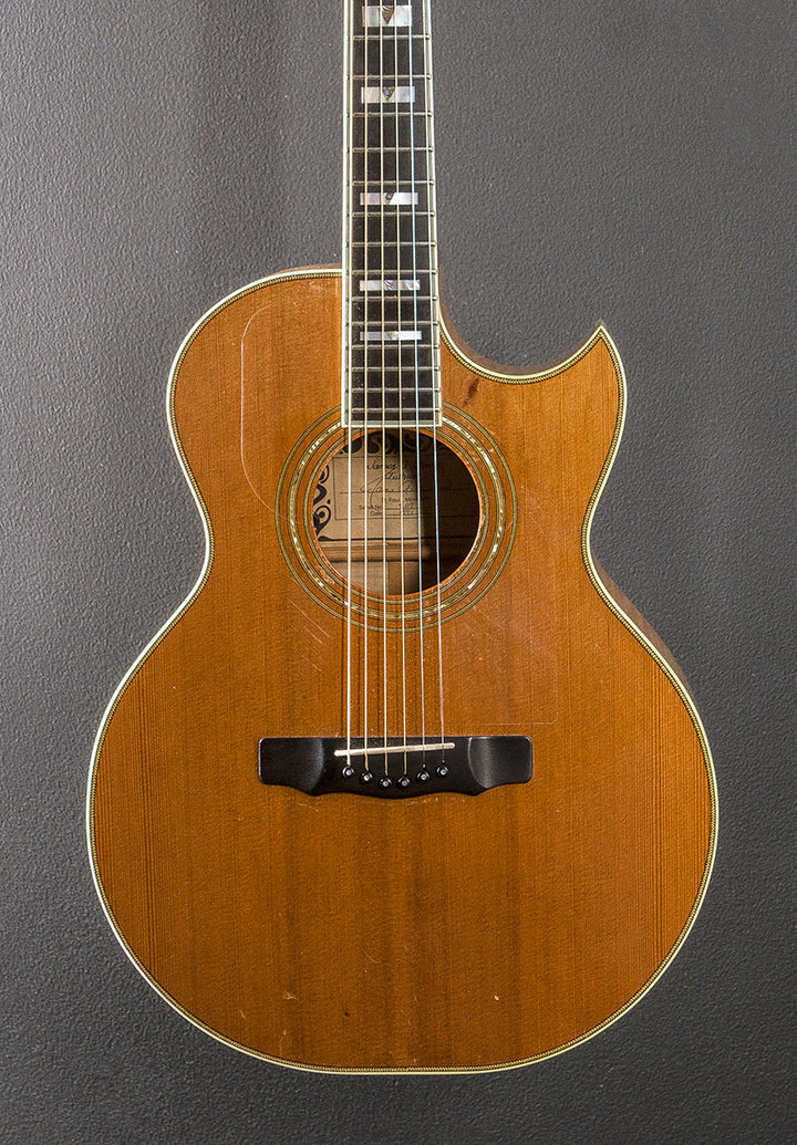 SJ Cutaway &