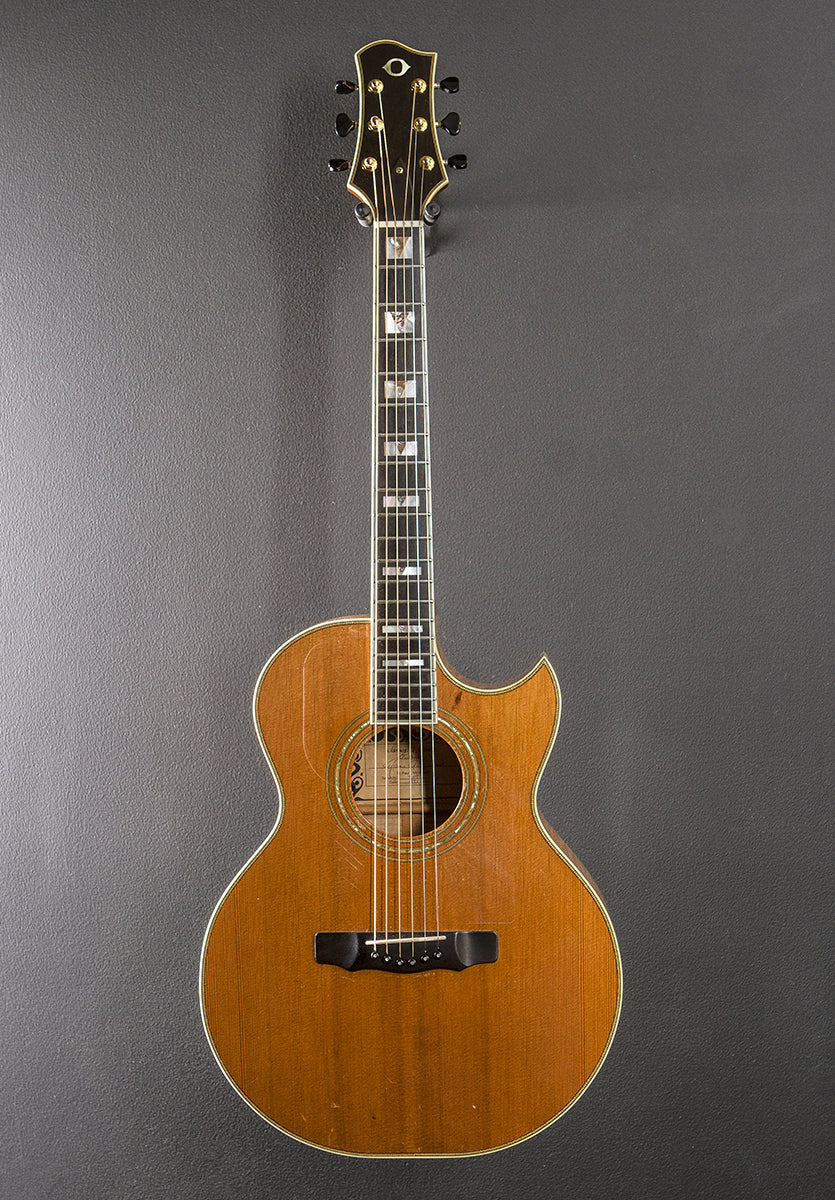 SJ Cutaway &