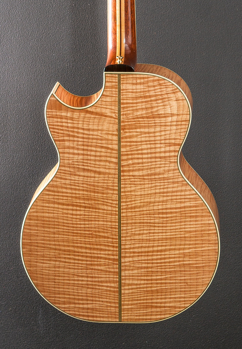 SJ Cutaway &