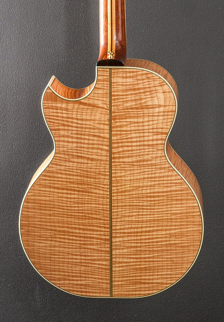 SJ Cutaway &