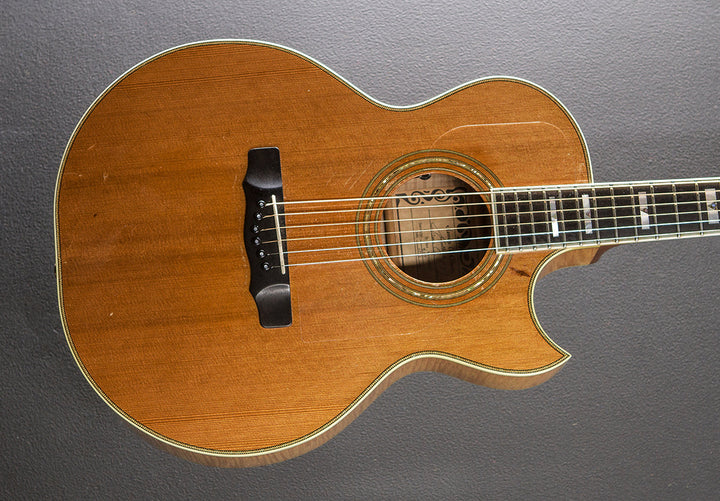 SJ Cutaway &