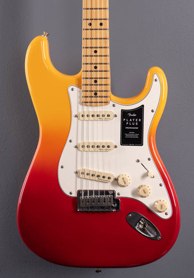 Player Plus Stratocaster - Tequila Sunrise