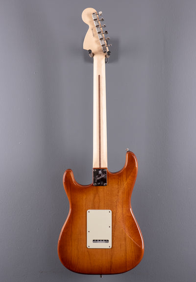 American Performer Stratocaster - Honeyburst
